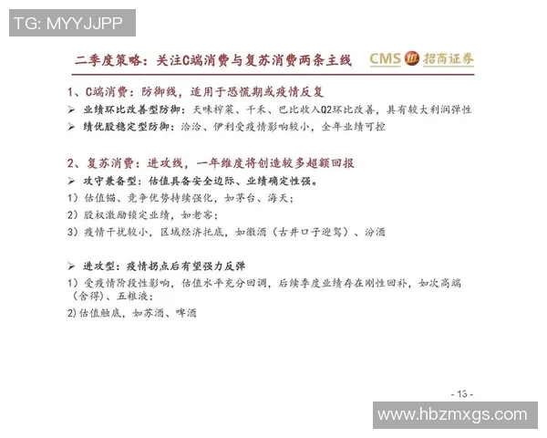 深圳攀岩队的防守策略分析与比赛表现评估